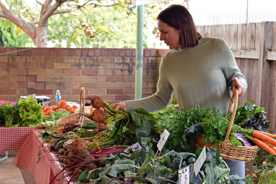 Dungog LocalGrowers Stall