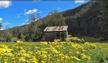 Dalmorton ghost town on old Glen Innes Road