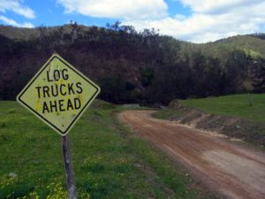 An old logging sign at Dalmorton on Old Glen Innes Road