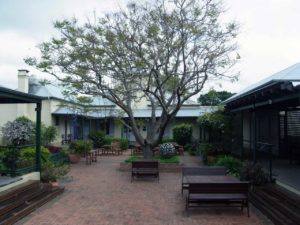 Grafton Regional Art Gallery rear garden