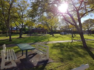 A park in Grafton