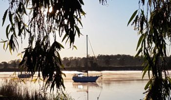 Boat on the water at Grafton