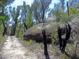 Dandahra Crags walking track, Gibraltar Range National Park