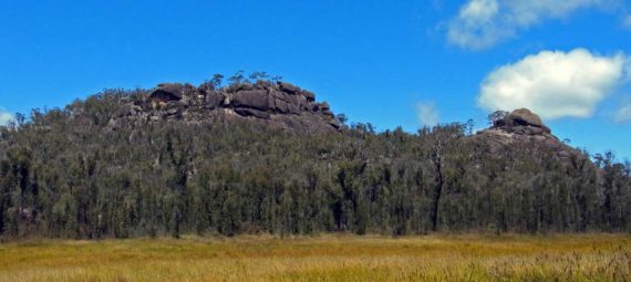 Dandahra Crags walking track, Gibraltar Range National Park