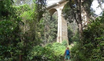 Knapsack Viaduct at Lapstone NSW