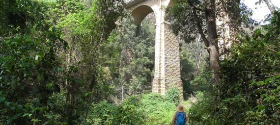 Knapsack Viaduct at Lapstone NSW