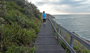 Bouddi Coastal Walk, NSW Central Coast