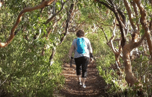 Bouddi Coastal Walk