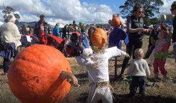 Collector Pumpkin Festival 2016