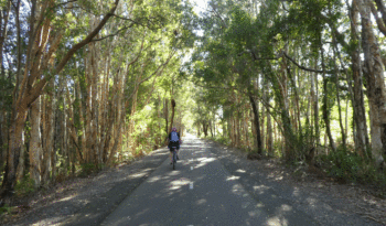 Fernleigh Track