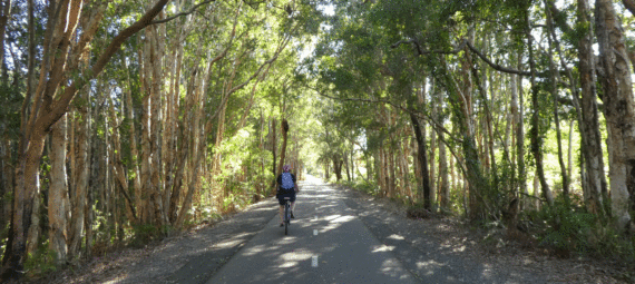 Fernleigh Track