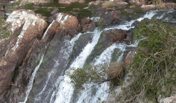 Minyon Falls Walk