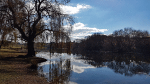 Wollondilly River at Goulburn