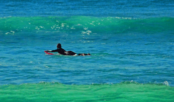 Surfer at Catherine Hill Bay