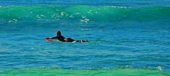 Surfer at Catherine Hill Bay