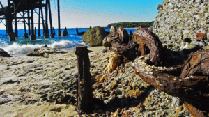 Wallarah Jetty Catherine Hill Bay