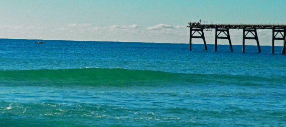 Wallarah Jetty Catherine Hill Bay