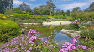 Cowra Japanese Garden