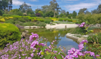 Cowra Japanese Garden