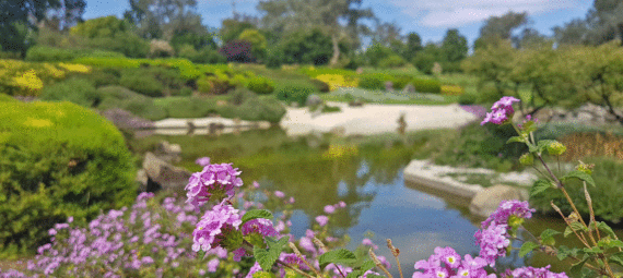 Cowra Japanese Garden