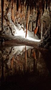 Yarrangobilly Jersey Cave