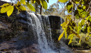 Charles Darwin Walk