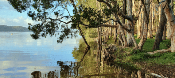 Myall Lakes