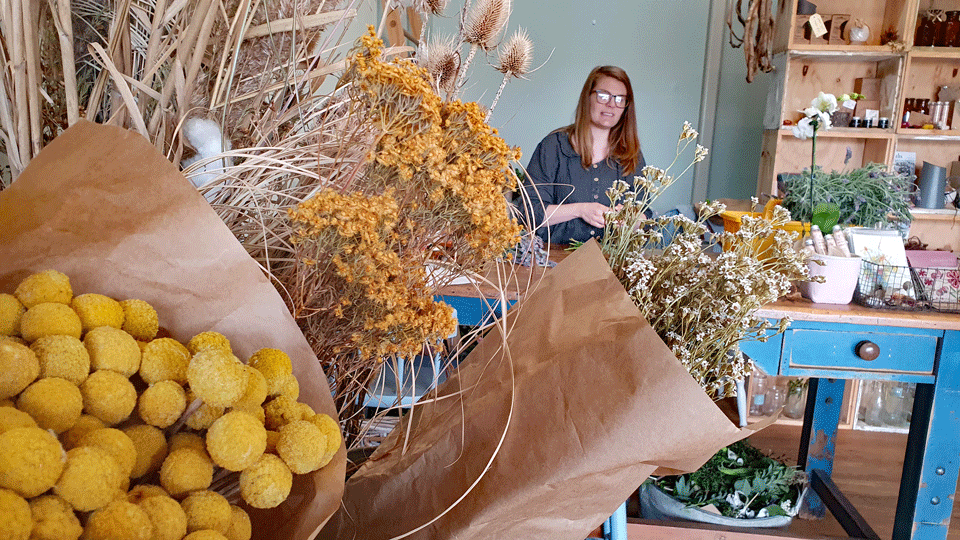 Dungog - The flower shop