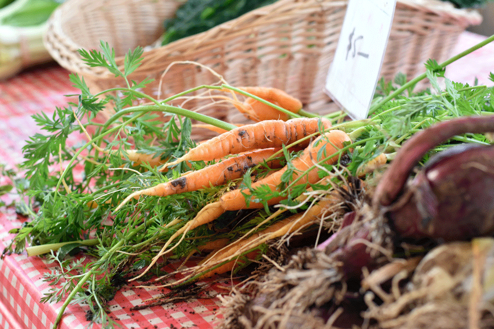 Dungog Loval Growers stall