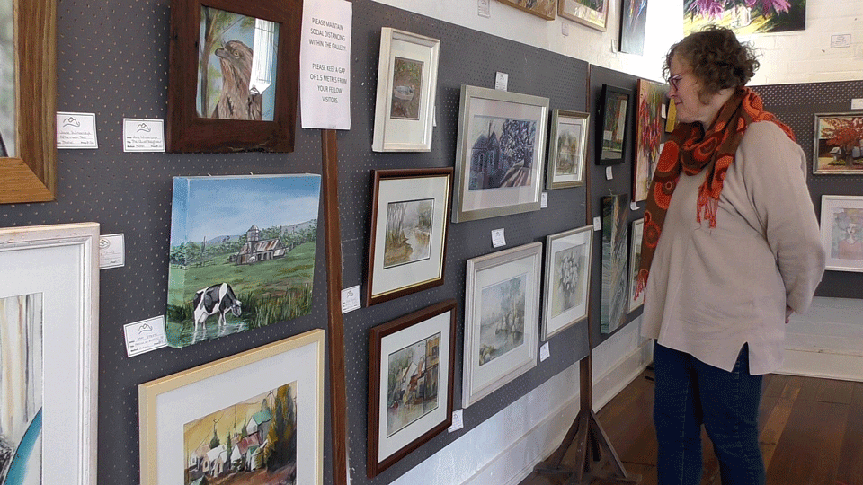 Dungog Art Society