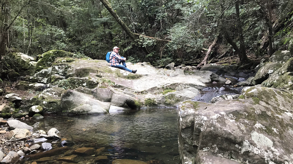 Bushwalking near Dungog