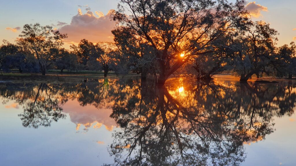 Polygonum Bilabong filled with floodwaters, Bourke NSW