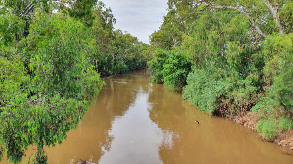 Image showing Macquarie River at Warren 