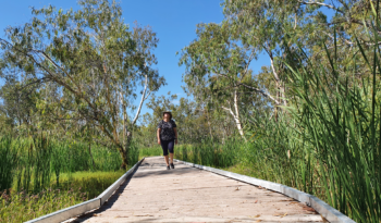 Macqaurie Marshes